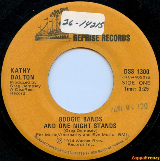 Boogie Bands And One Night Stands